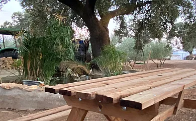 Alojamientos El Encinar en Ronda (Málaga) - Foto 12