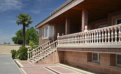 Los olivos en Nava De La Asuncion (Segovia) - Foto 5