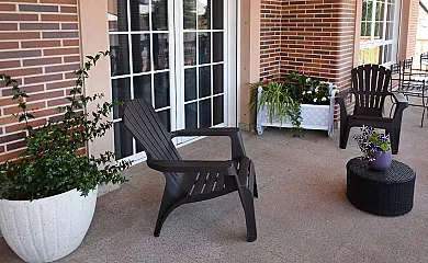 Los olivos en Nava De La Asuncion (Segovia) - Foto 13