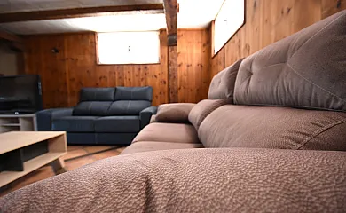 Los olivos en Nava De La Asuncion (Segovia) - Foto 21