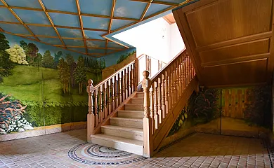 Los olivos en Nava De La Asuncion (Segovia) - Foto 22