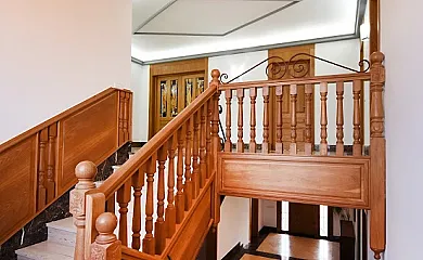 Los olivos en Nava De La Asuncion (Segovia) - Foto 24