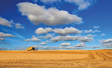 Apartamentos Wambalore en Pampliega (Burgos) - Foto 8