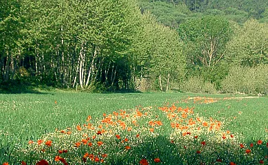 Can Marc en Canyamars (Barcelona) - Foto 10