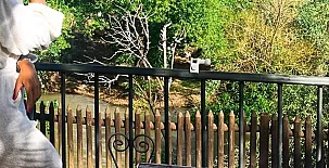 Vivienda rural Mirador del Guadalquivir 002