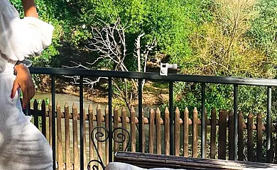 Vivienda rural Mirador del Guadalquivir en Mogón (Jaén) - Foto 2