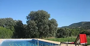 Villa Entreolivos 006