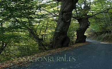 Hotel Rural La Campanona en Villager de Laciana (León) - Foto 10