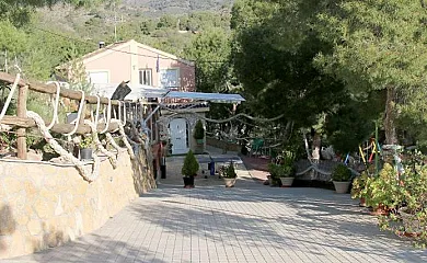 Casa rural Mi Bella en Totana (Murcia) - Foto 12