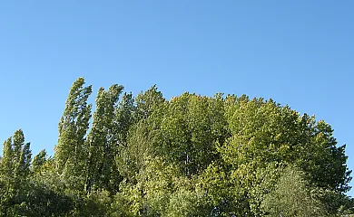 El Lagar de Vegafría1 en Vegafría (Segovia) - Foto 19