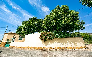 Casas rurales La Nieta del Gasero en Puertos de Santa Barbara (Murcia) - Foto 24