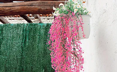 Las Calendas de Atapuerca en Castrillo Del Val (Burgos) - Foto 10