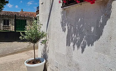 Las Calendas de Atapuerca en Castrillo Del Val (Burgos) - Foto 16