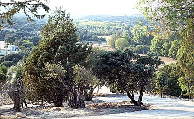 Finca El Cerro en Villamanta (Madrid) - Foto 9