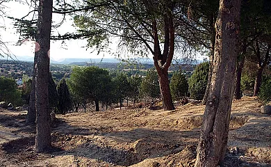 Finca El Cerro en Villamanta (Madrid) - Foto 11