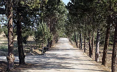 Finca El Cerro en Villamanta (Madrid) - Foto 17