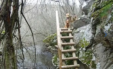 Mi Rinconcillo en Valleruela de Pedraza (Segovia) - Foto 25