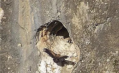 La Iruela 2 en La Iruela (Jaén) - Foto 7