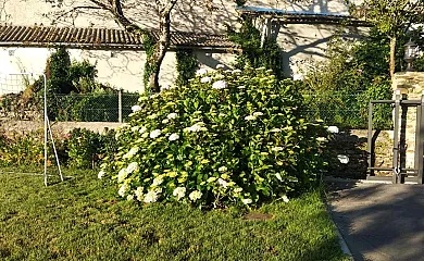 Casa Hortensia en Salas (Asturias) - Foto 13