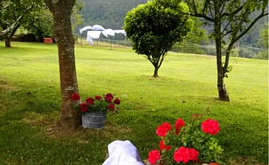 Casa Hortensia en Salas (Asturias) - Foto 24