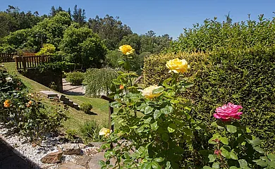 Casa Piñeiro en Monfero (A Coruña) - Foto 8