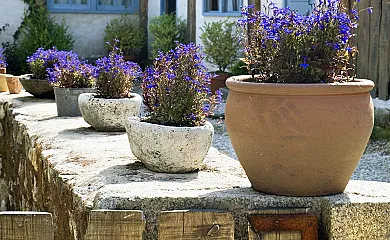 Casa Castelo de Andrade en Pontedeume (A Coruña) - Foto 16