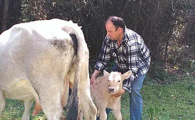 Los Ayales en Huelamo (Cuenca) - Foto 19
