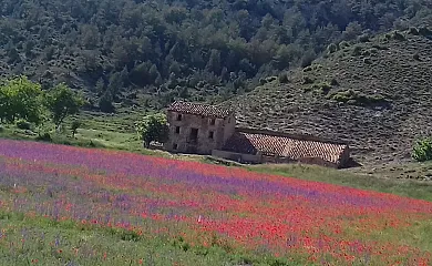 Casa Aurora en Torrijas (Teruel) - Foto 10
