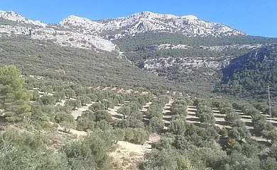 Casa Majuela en Quesada (Jaén) - Foto 4