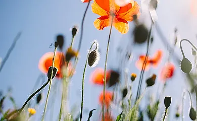 Maset de la Costa en Piera (Barcelona) - Foto 8