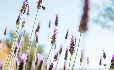 Maset de la Costa en Piera (Barcelona) - Foto 9