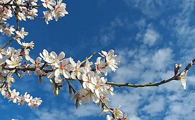 Maset de la Costa en Piera (Barcelona) - Foto 12