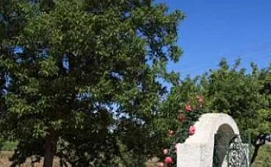 Complejo Cortijo Los Llanos en Caniles (Granada) - Foto 6