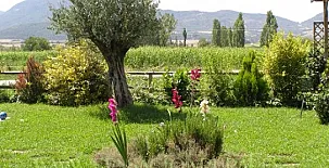 La Borda Castillón 003