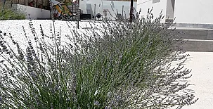 casa rural la Perla 007