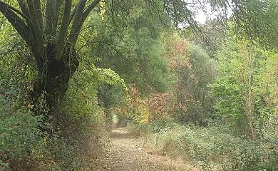 Casa Rural Hoz de la Pinilla en Navahermosa (Toledo) - Foto 15