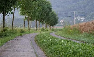 Mas Prat en La Vall de Bianya (Girona) - Foto 25