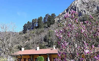 Apartamentos Camín de Pelayo y Don Clemente en Cangas de Onis (Asturias) - Foto 5
