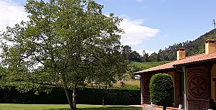 Apartamentos Camín de Pelayo y Don Clemente 006