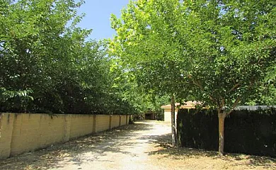 Cabañas Hoces de Mira en Mira (Cuenca) - Foto 9