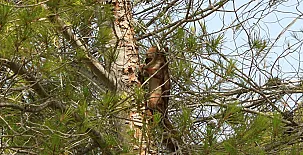 El Moliner del Governador 0025