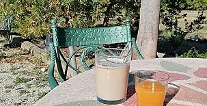 El Moliner del Governador 007