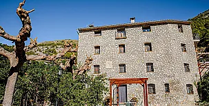 El Moliner del Governador 0029