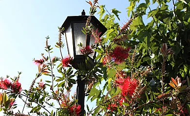 El Moliner del Governador en Guadalest (Alicante) - Foto 19