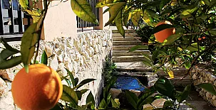 El Moliner del Governador 0012