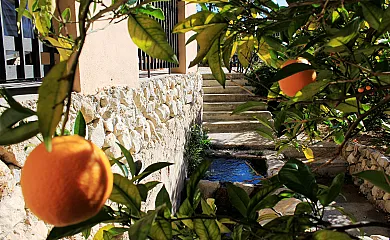 El Moliner del Governador en Guadalest (Alicante) - Foto 12