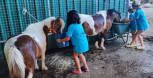 Casa Rural Superior Finca la Herencia 0022