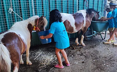 Casa Rural Superior Finca la Herencia en Guadalcanal (Sevilla) - Foto 22