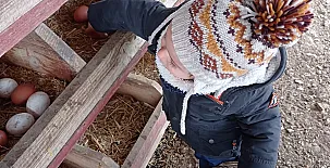 Casa Rural Superior Finca la Herencia 0023