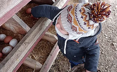 Casa Rural Superior Finca la Herencia en Guadalcanal (Sevilla) - Foto 23